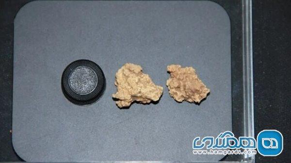 کشف قدیمی ترین پنیر جهان کشف قدیمی ترین پنیر دنیا